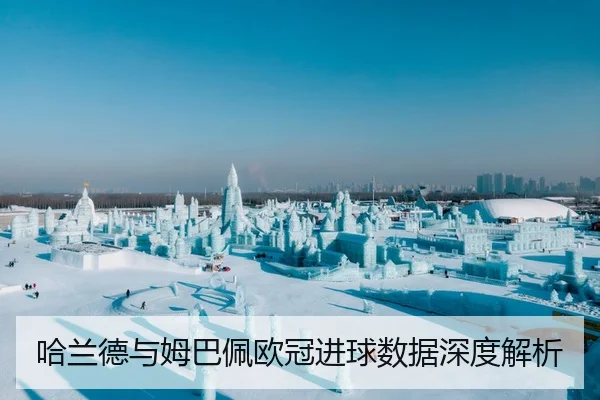 哈兰德与姆巴佩欧冠进球数据深度解析