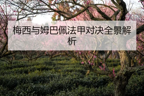 梅西与姆巴佩法甲对决全景解析