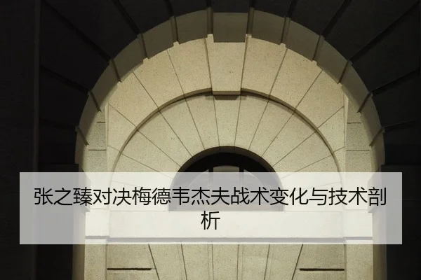张之臻对决梅德韦杰夫战术变化与技术剖析